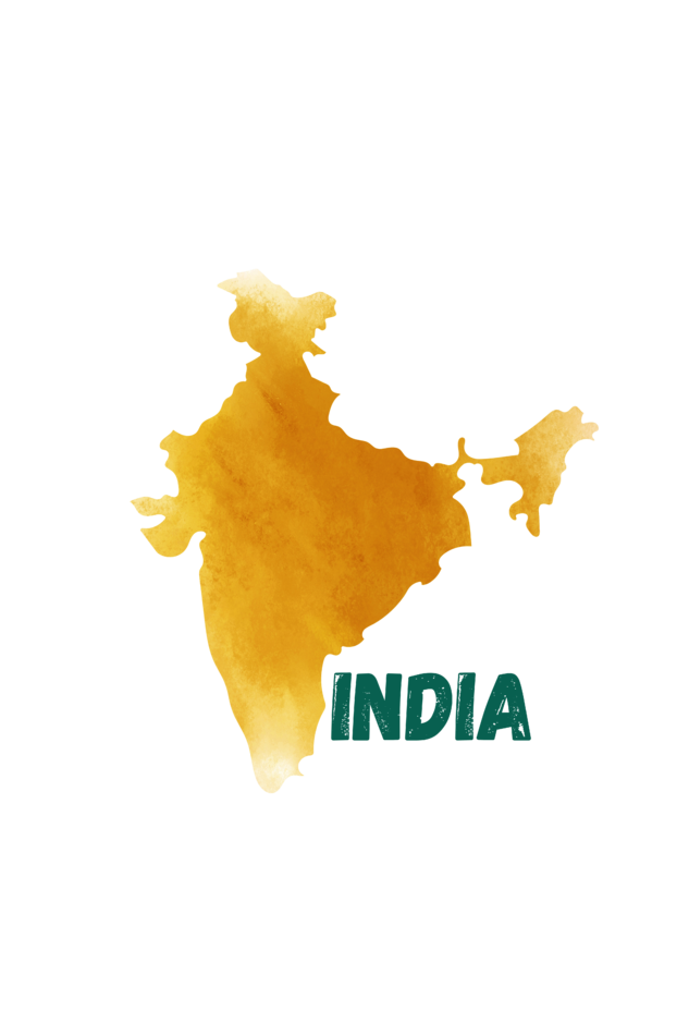 India Men's T-shirt design