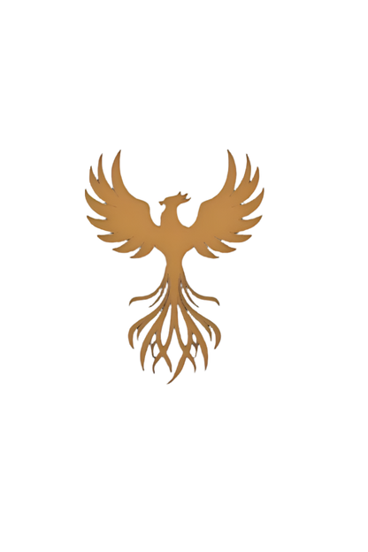 phoenix design